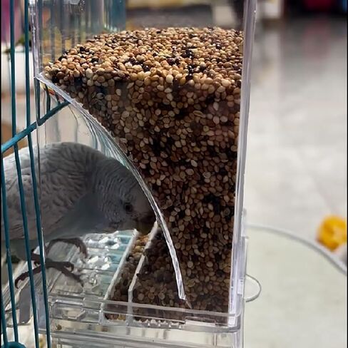 Automatic Bird Feeder for Cage, No Mess Parakeet Feeder Parrot Seed Food Container for Parakeets Cockatiels Lovebirds in Saudi Arabia