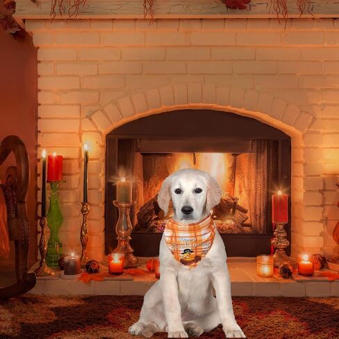 KOOLTAIL Dog Halloween Bandana 2 Pack - Holiday Dog Bandanas Adjustable Soft Dog Scarf Pet Triangle Bib with Festival Element, Dog Halloween Thanksgiving Christmas Bandanas for Small Medium Large Dogs in Saudi Arabia