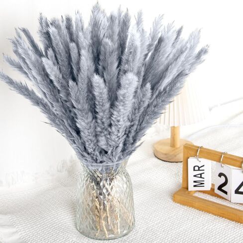 باقة عشب بامباس رمادي فضي 60 قطعة XMFAYUAN، عشب القصب، زهور مجففة، نبات بامباس ملون مجفف لديكور المنزل والهدايا in Kuwait