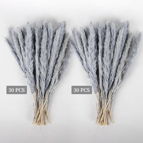 باقة عشب بامباس رمادي فضي 60 قطعة XMFAYUAN، عشب القصب، زهور مجففة، نبات بامباس ملون مجفف لديكور المنزل والهدايا in Kuwait