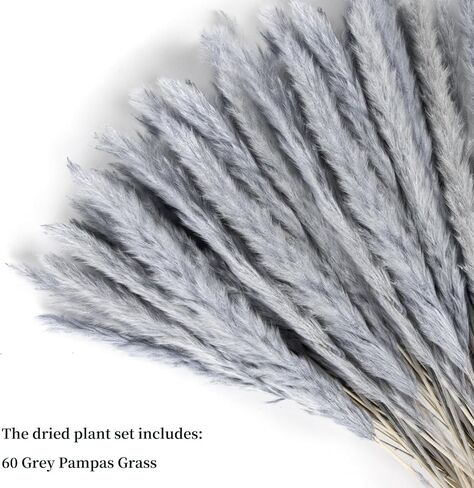 باقة عشب بامباس رمادي فضي 60 قطعة XMFAYUAN، عشب القصب، زهور مجففة، نبات بامباس ملون مجفف لديكور المنزل والهدايا in Kuwait