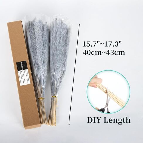 باقة عشب بامباس رمادي فضي 60 قطعة XMFAYUAN، عشب القصب، زهور مجففة، نبات بامباس ملون مجفف لديكور المنزل والهدايا in Kuwait