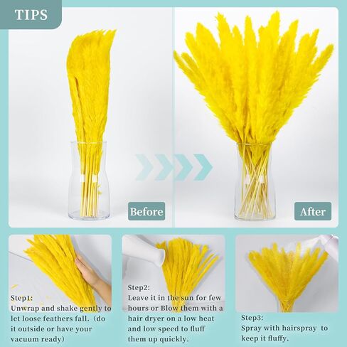 باقة عشب بامباس رمادي فضي 60 قطعة XMFAYUAN، عشب القصب، زهور مجففة، نبات بامباس ملون مجفف لديكور المنزل والهدايا in Kuwait