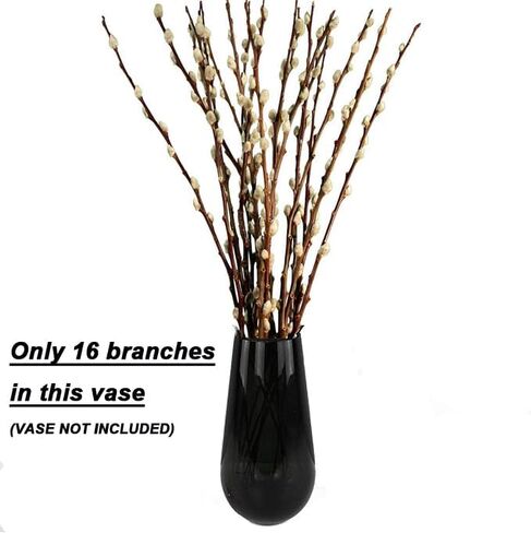 30 ينبع فروع الصفصاف المجففة للمزهريات 22 بوصة الطبيعية الحقيقية كس الصفصاف الزهور المجففة النباتات 2 سنة طويلة الأمد لديكورات المنزل الأبيض in Kuwait