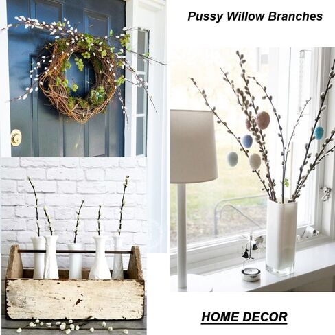 30 ينبع فروع الصفصاف المجففة للمزهريات 22 بوصة الطبيعية الحقيقية كس الصفصاف الزهور المجففة النباتات 2 سنة طويلة الأمد لديكورات المنزل الأبيض in Kuwait