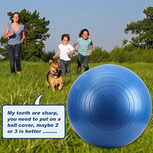 Herding Ball for Dogs Blue Heelers, 25" Horse Ball with 2 Covers, Harding Ball Dog Large, Mega Pets Soccer Ball for Australian Shepherd Play in Kuwait