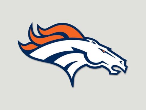 Wincraft NFL Perfect Cut Color Decal in Saudi Arabia