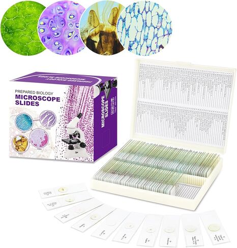 50pcs Prepared Microscope Slides,Preloaded Microscope Slides with Specimens for Kids Adults,Microscope Slide Set Including Insects Human Body,Use for Physiology,Enlighten Education in Kuwait