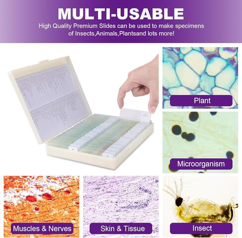 50pcs Prepared Microscope Slides,Preloaded Microscope Slides with Specimens for Kids Adults,Microscope Slide Set Including Insects Human Body,Use for Physiology,Enlighten Education in Kuwait