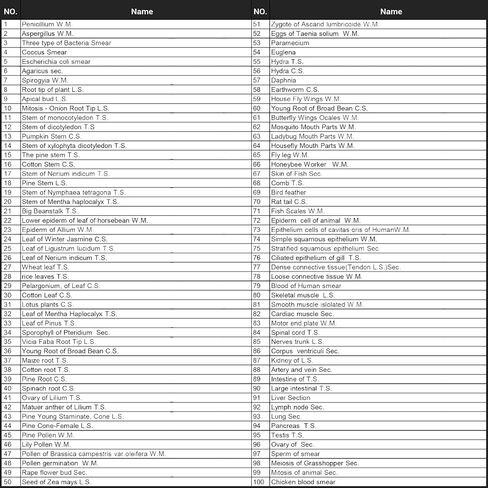 50pcs Prepared Microscope Slides,Preloaded Microscope Slides with Specimens for Kids Adults,Microscope Slide Set Including Insects Human Body,Use for Physiology,Enlighten Education in Kuwait