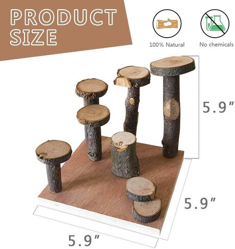 Hamster Climbing Wooden Stand Platform, Pet Cage Playground Natural Wood Bridge ramp Toys for Dwarf Hamsters, Syrians Hamster, Gerbil, Mouse, Rat in Saudi Arabia
