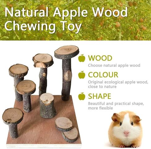 Hamster Climbing Wooden Stand Platform, Pet Cage Playground Natural Wood Bridge ramp Toys for Dwarf Hamsters, Syrians Hamster, Gerbil, Mouse, Rat in Saudi Arabia