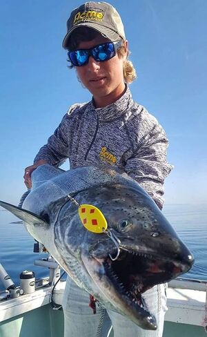 acme Little Cleo Spoon Fishing Lure, Nickel Chartreuse Color, 1/3 oz Size in Saudi Arabia