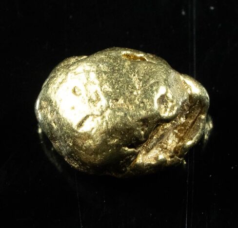 #154 Alaskan BC Natural Gold Shoty .96 غرام أصلي in Kuwait