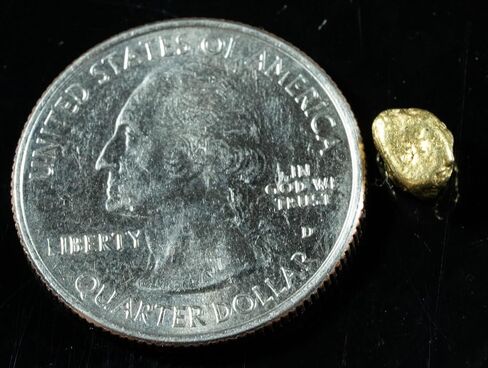 #154 Alaskan BC Natural Gold Shoty .96 غرام أصلي in Kuwait