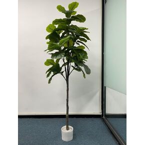 6 أقدام لورق الاصطناعي شجرة الشكل - شجرة مزيفة طويلة مع زارع بيضاء وسلة أعشاب البحرية ، فوكس كبيرة فيكوس ليراتا ، نباتات أرضية للمنزل الداخلي غرفة المعيش in Kuwait