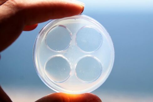 2 pair-4pc Size 19 mm,20 mm Multi Tunnel Ear Plug Piercing Mold. (V-04)Free USA Shipping! in Saudi Arabia