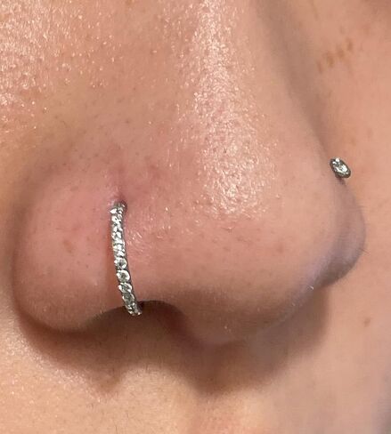 MODRSA Silver Horseshoe Nose Ring 20g Horse Shoe Nose Ring Hoop for Women Surgical Steel Tragus Hoop Cartilage Earring Hoops Helix Piercing Jewelry Double Gem Horseshoe Septum Rings 20 gauge in Saudi Arabia