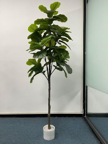 6 أقدام لورق الاصطناعي شجرة الشكل - شجرة مزيفة طويلة مع زارع بيضاء وسلة أعشاب البحرية ، فوكس كبيرة فيكوس ليراتا ، نباتات أرضية للمنزل الداخلي غرفة المعيش in Kuwait