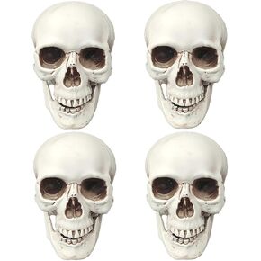 Cunhuysmall Skulls ديكور الهالوين ، الهياكل العظمية المزيفة البلاستيكية 5 بوصات ، جماجم صغيرة للحرف اليدوية في الهواء الطلق في الهواء الطلق ، ورؤوس جمجمة بشرية مصغرة (4) in Kuwait