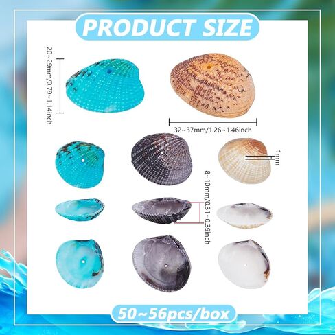 PH PandaHall 50~56pcs Dyed Natural Conch Shell Beads Drilled Tiny Scallop Sea Shells Ocean Beach Seashells Craft Charms for Candle Making Home Decoration Party Wedding Decor Mixed Colors in Saudi Arabia