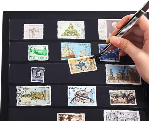 120 Pockets Stamp Album - Mixed Sizes Double-side Pages Artificial Leather Postage Stamp Holder Storage Book for Currency Banknotes Paper Folding Money Bills Documents Collection Black AS03MX1BK in Saudi Arabia
