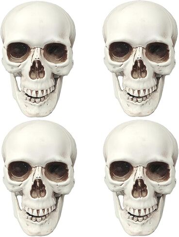 Cunhuysmall Skulls ديكور الهالوين ، الهياكل العظمية المزيفة البلاستيكية 5 بوصات ، جماجم صغيرة للحرف اليدوية في الهواء الطلق في الهواء الطلق ، ورؤوس جمجمة بشرية مصغرة (4) in Kuwait