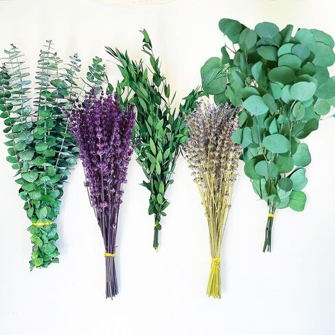 Fortunate Flower 120+ Pcs dried lavender and eucalyptus for Shower, Fresh Eucalyptus Plant Live Lavender Plants for Inside, Real Lavender Flowers Bundles Bouquet Dried Eucalyptus Stems Leaves for Vase in Saudi Arabia