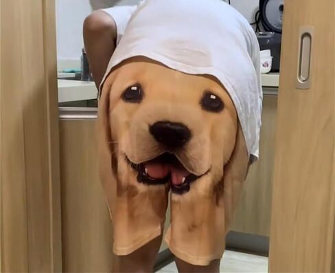 شورت مع وجه الكلب على بعقب - طباعة الكلب ثلاثي الأبعاد مضحك ، ناعم ومريح ، ملاءمة فضفاضة ، مثالية لصيف وارتداء غير رسمي in Saudi Arabia