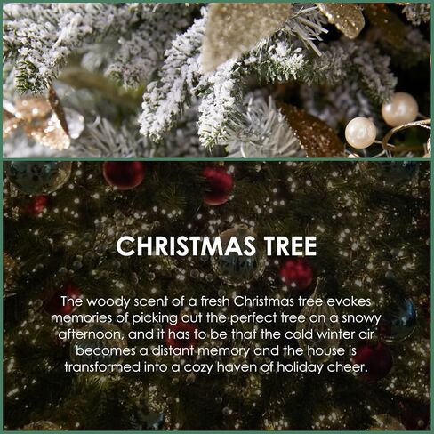 Salubrito Fall assental Oil 4 fl.oz (120ml) - زيت العطور الزهور للخريف ، زيت عطر قوي من الخريف المعطر للناشر ، والشمعة ، وصنع الصابون ، والتدليك in Kuwait