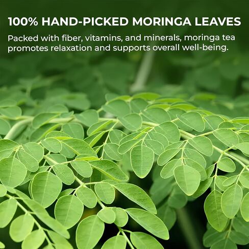 Centella Asiatica Powder (Gotu Kola) - 10.58 oz, Herbal Tea for Cooling & Refreshing, Supports Skin & Wellness, Freeze-Dried & Finely Ground, No Additives, No Caffeine, Gluten Free in Saudi Arabia