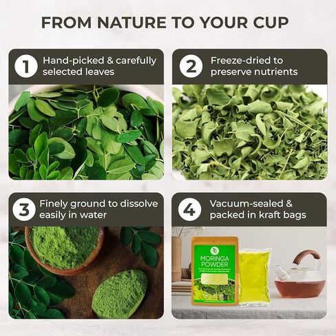 Centella Asiatica Powder (Gotu Kola) - 10.58 oz, Herbal Tea for Cooling & Refreshing, Supports Skin & Wellness, Freeze-Dried & Finely Ground, No Additives, No Caffeine, Gluten Free in Saudi Arabia