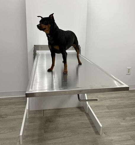 شركة سوبربان الجراحية الكلاسيكية القابلة للطي الطولية المثبتة على الحائط in Kuwait