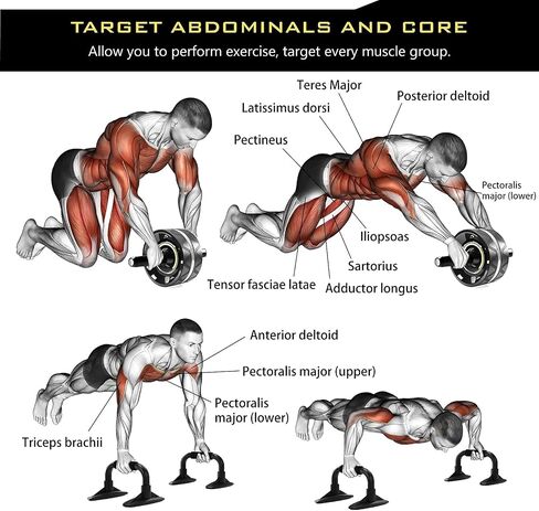 Ab Roller Wheel, 6 in 1 Ab Roller kit with Knee Pads, Push-Up Bars, Resistance Bands, Workout Poster, Workout Guide, Perfect Home Gym Equipment for Men Women Abdominal Exercise in Saudi Arabia