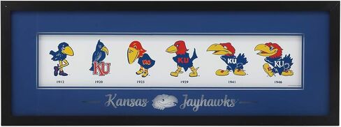 Open Road Brands University of Iowa Logo Evolution Framed Wall Decor - Large Iowa Hawkeyes Wall Art for Office or Man Cave in Saudi Arabia
