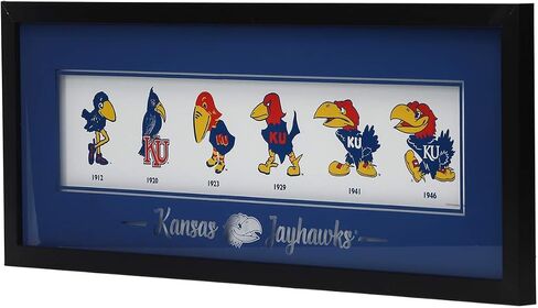 Open Road Brands University of Iowa Logo Evolution Framed Wall Decor - Large Iowa Hawkeyes Wall Art for Office or Man Cave in Saudi Arabia