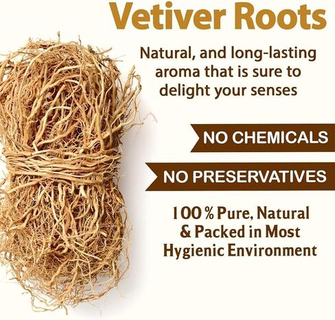 MM Herbal Fresh Veti.ver Root, 50 Grams, Khus Root, Vetiveria Zizanioides, Vala Kas Ramacham Vetiver For Hair Growth & Healthy Skin (Pack Of 1 X 50 Grams), Certified Organic in Saudi Arabia