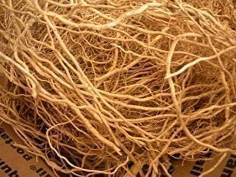 Vetiver Root 100g Khus Root Vetiveria Zizanioides Vala Kas Ramacham Vetiver for Hair Growth Healthy Skin (Pack of 1 X 100g) in Saudi Arabia