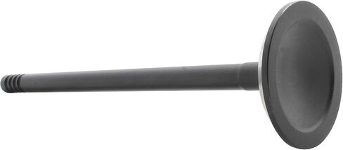 DNJ EV1137 صمام العادم للفترة 2001-2011 Chrysler ، Dodge ، Jeep ، Volkswagen Caravan ، Grand Caravan ، Pacifica 3.3L-3.8L V6 12V OHV 3778CC in Kuwait
