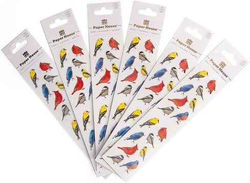 ملصق صور حقيقية ستيكبيكس من الورق هاوس برودكشن ST-2215E، 5.08 سم × 10.16 سم، طيور خلفية (عبوة من 6 قطع) in Kuwait