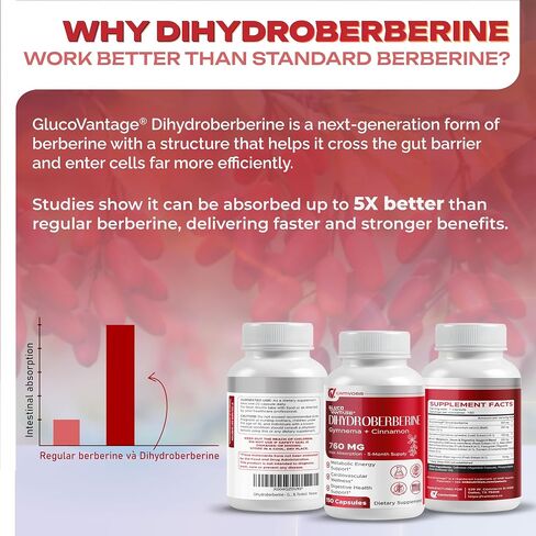 Dihydroberberine - Glucovantage - Super Berberine 760 mg مع صالة القرفة فينجيما الحلبة - الحد الأقصى للامتصاص - دعم صحة الأمعاء ، التمثيل الغذائي - غير الكائنات المعدلة وراثيًا ، خالية من الغلوتين - مصنوعة واختبارها في الولايات المتحدة الأمريكية in Saudi Arabia