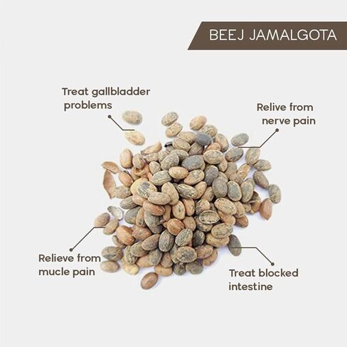 Jamalgota Seeds - for Hair Growth 25 gm in Saudi Arabia