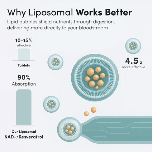 Aurora Nutrascience, Mega-Liposomal NAD+/ريسفيراترول، خالي من الغلوتين، غير معدل وراثيًا، خالي من السكر، نكهة الفاكهة العضوية، 16 أونصة سائلة (480 مل) in Saudi Arabia