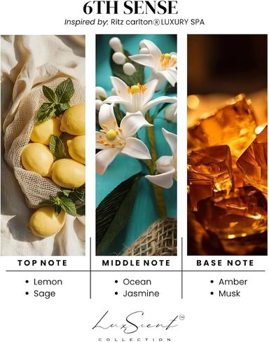 My Way Aroma Diffuser Oil 500ml - زيت أساسي بدون ماء للموزعين - عطر الفندق الفاخر - زيوت للعلاج العطري - يناسب أي ناشر (500 مل ، طريقي) in Kuwait