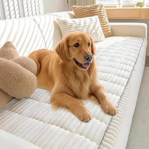 غطاء الأريكة Pawcart ، غطاء أريكة Pawlounge Plush Pet-حامي غير مبادئ غير مُنحني ، حامي أريكة ذات شعر الحيوانات الأليفة ومقاوم للخدش فائق النعومة (رمادي ، 60 * 120 سم/23.63 * 47.25 بوصة) in Kuwait