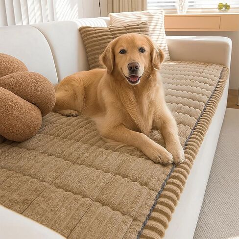 غطاء الأريكة Pawcart ، غطاء أريكة Pawlounge Plush Pet-حامي غير مبادئ غير مُنحني ، حامي أريكة ذات شعر الحيوانات الأليفة ومقاوم للخدش فائق النعومة (رمادي ، 60 * 120 سم/23.63 * 47.25 بوصة) in Kuwait
