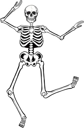 Halloween Skeletons Decorations, 3.2ft Large Paper Skeleton Decor Vintage Posable Jointed Skeleton for Halloween Birthday Spooky Party Windows Door Decorations (1 Pack) in Saudi Arabia