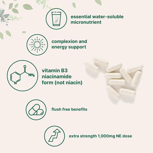فيتامين B3 niacinamide 500mg للفرد ، 400 كبسولات | 1،000mg تدفق النياسين الحر لكل وجبة ، ملحق ب فيتامين أساسي | صحة العناية بالبشرة ودعم الطاقة | غير المعدلة وراثيا ، خالية من الغلوتين in Saudi Arabia