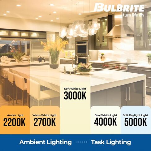 Bulbrite Pack of 12 Item 774235 A19 LED Bulb, 9W, 60W Equiv., Dimmable, 3000K, E26 Base, 120V Soft White Light, A-Type Bulb in Saudi Arabia