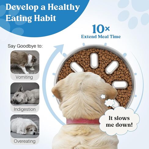 Tivray Slow Feeder Dog Bowls, 304 Stainless Steel Dog Slow Feeder Bowl 3.8 Cups Metal Dog Food Bowl with Non-Slip Bottom Anti Gulping Slow Eating Dog Bowl for Medium & Large Breed, Dishwasher Safe in Kuwait